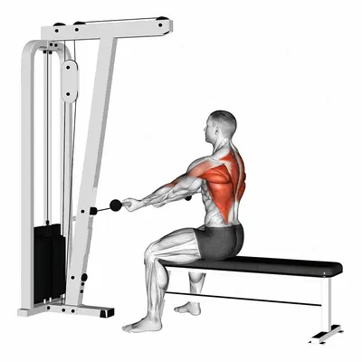 Cable Seated Supine grip Row exercise targeting Back