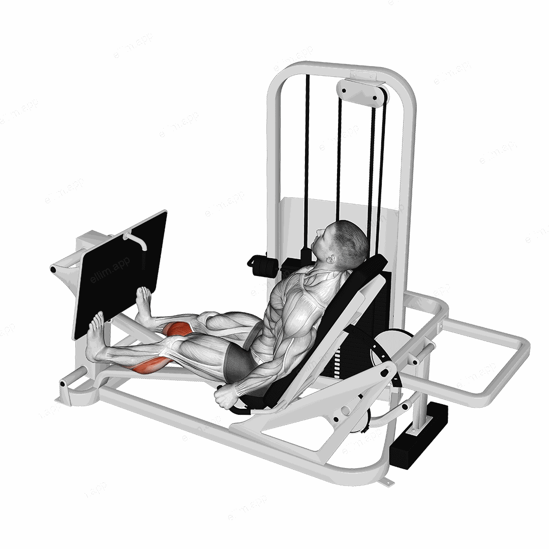 Lever Seated Calf Press exercise targeting Calves and Gastrocnemius