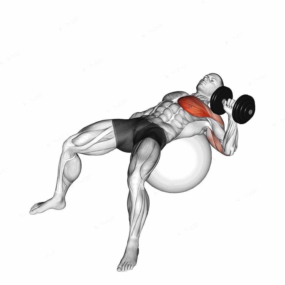 Dumbbell One Arm Press on Exercise Ball exercise targeting Chest and Pectoralis Major Sternal Head