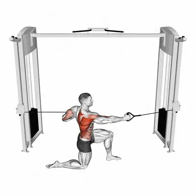 Cable Half Kneeling Push Pull exercise targeting Back