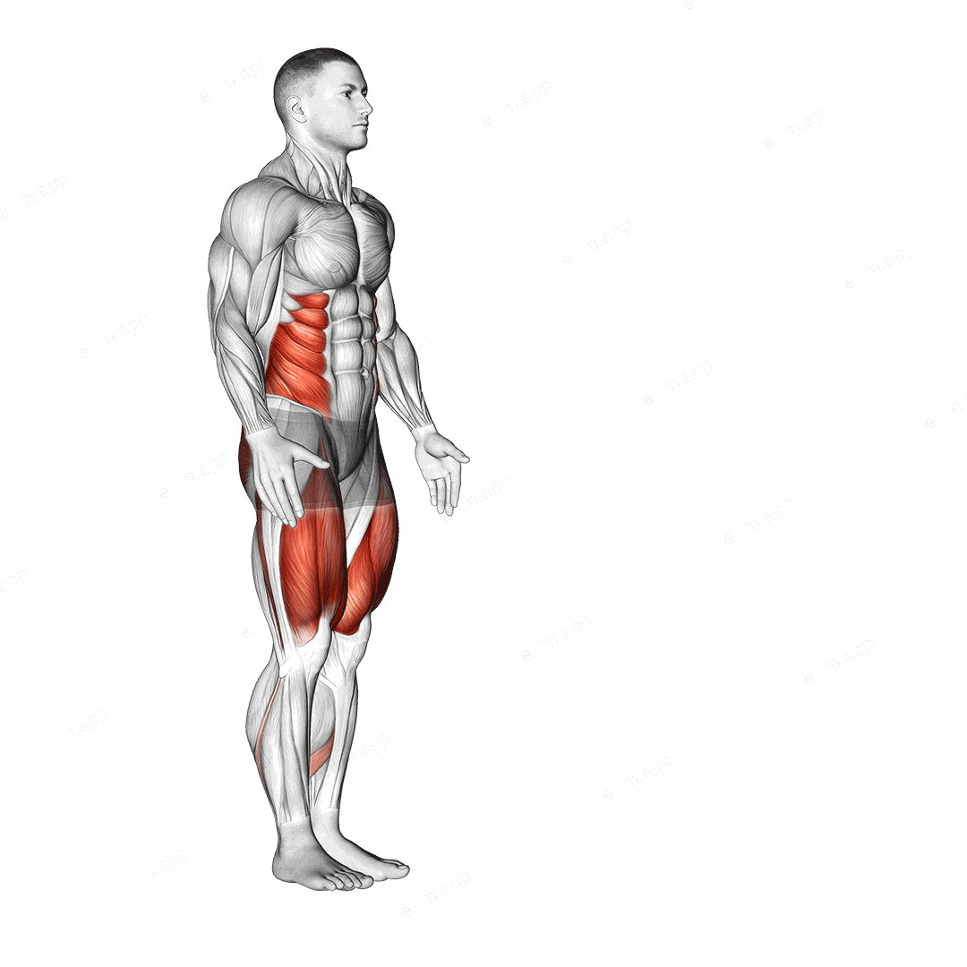 Lunge with Twist exercise targeting Waist and Gluteus Maximus