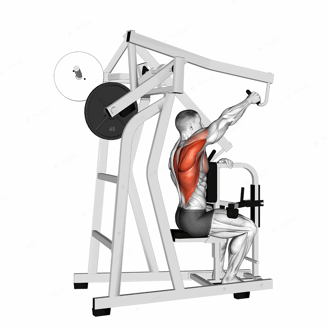 Lever One Arm Lateral High Row exercise targeting Back and Infraspinatus