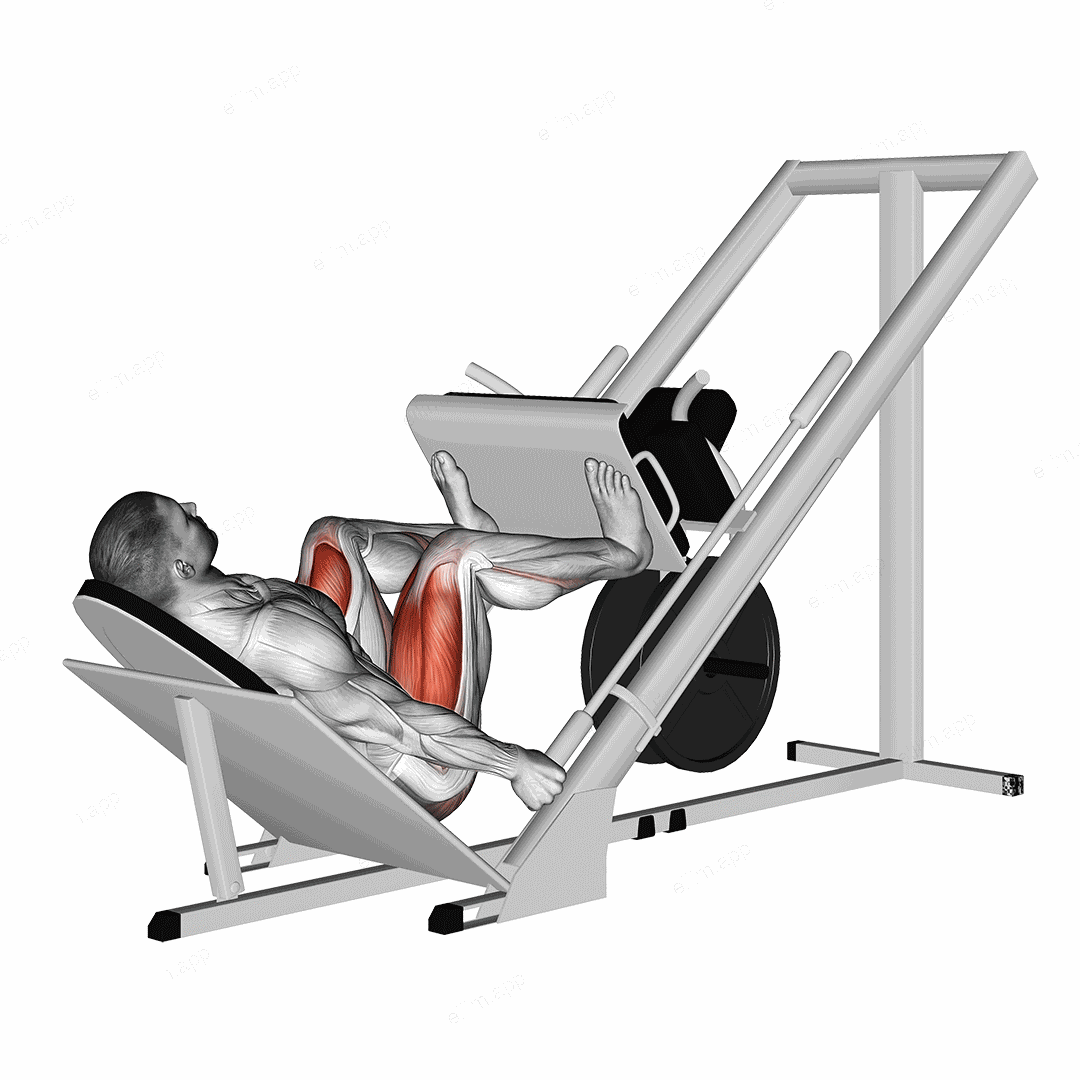 Sled 45 Leg Wide Press exercise targeting Thighs