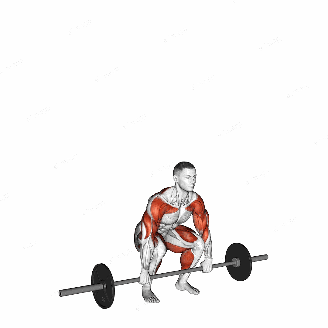 Barbell Clean and Jerk exercise targeting Weightlifting