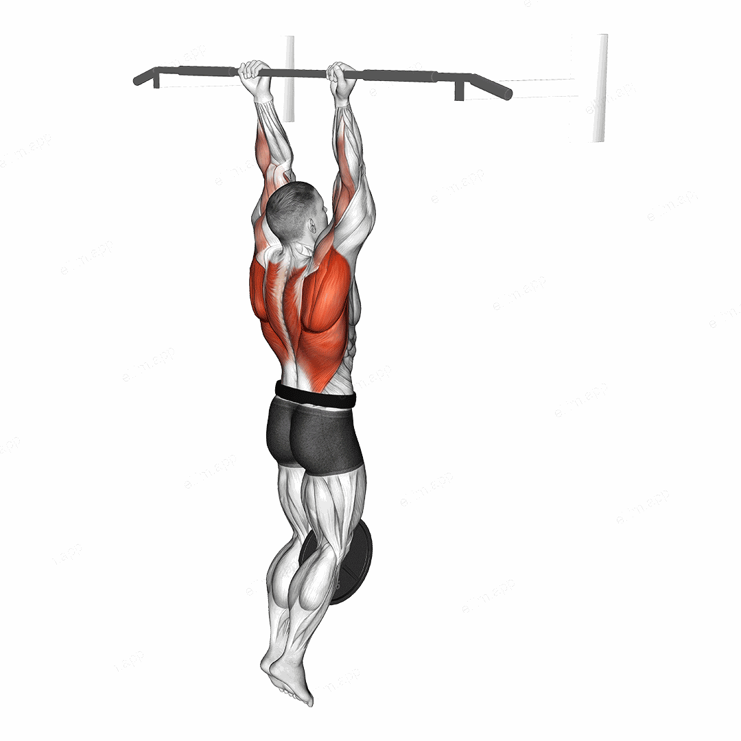 Weighted Hang Chin-Up exercise targeting Back