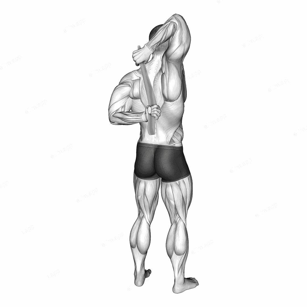 Shoulder Stretch With Towel Behind The Back exercise targeting Shoulders