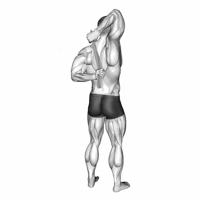Shoulder Stretch With Towel Behind The Back exercise targeting Shoulders