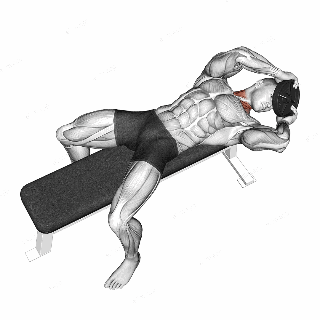 Weighted Lying Neck Head Twist exercise targeting Neck