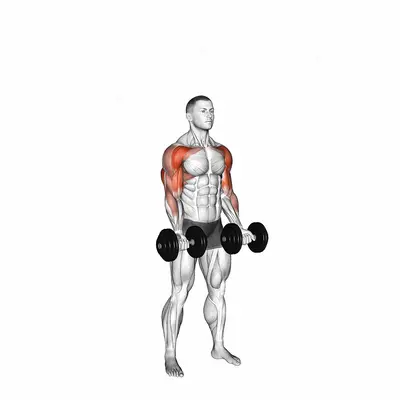 Dumbbell Curl Press Extension exercise targeting Upper Arms