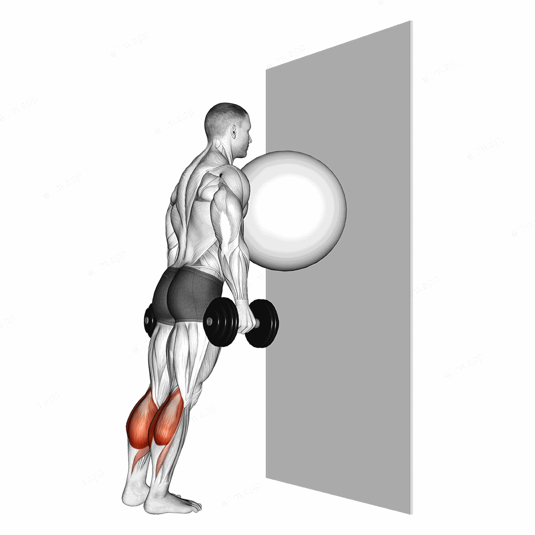 Exercise Ball on the Wall Calf Raise exercise targeting Calves and Gastrocnemius