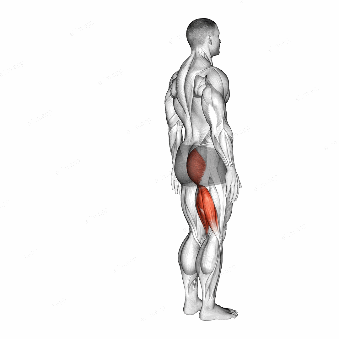 Hip - Extension exercise targeting Hips