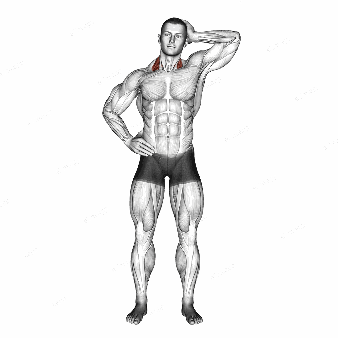 Side Push Neck Stretch exercise targeting Neck and Levator Scapulae
