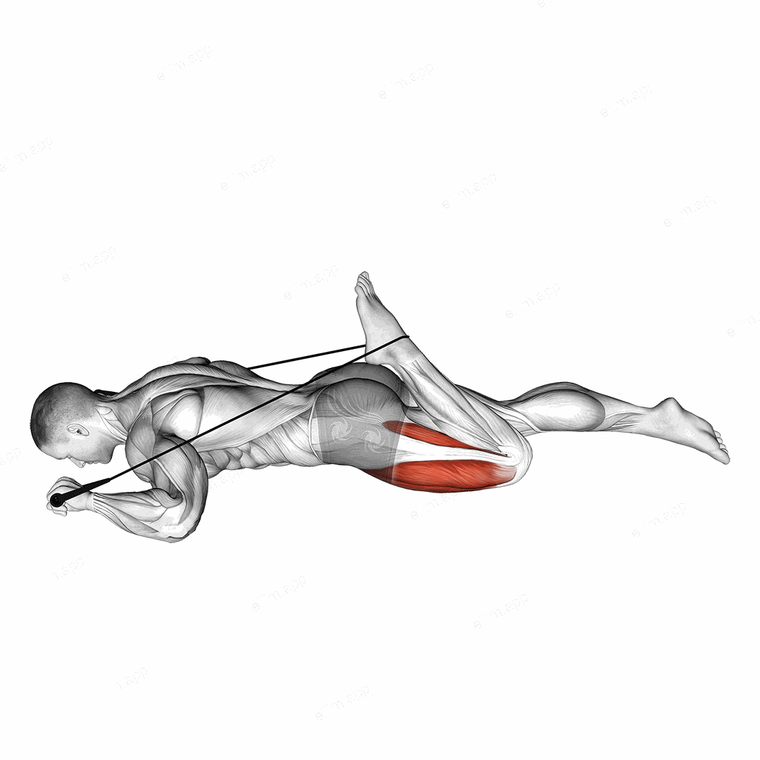 Intermediate Hip Flexor and Quad Stretch exercise targeting Thighs and Quadriceps