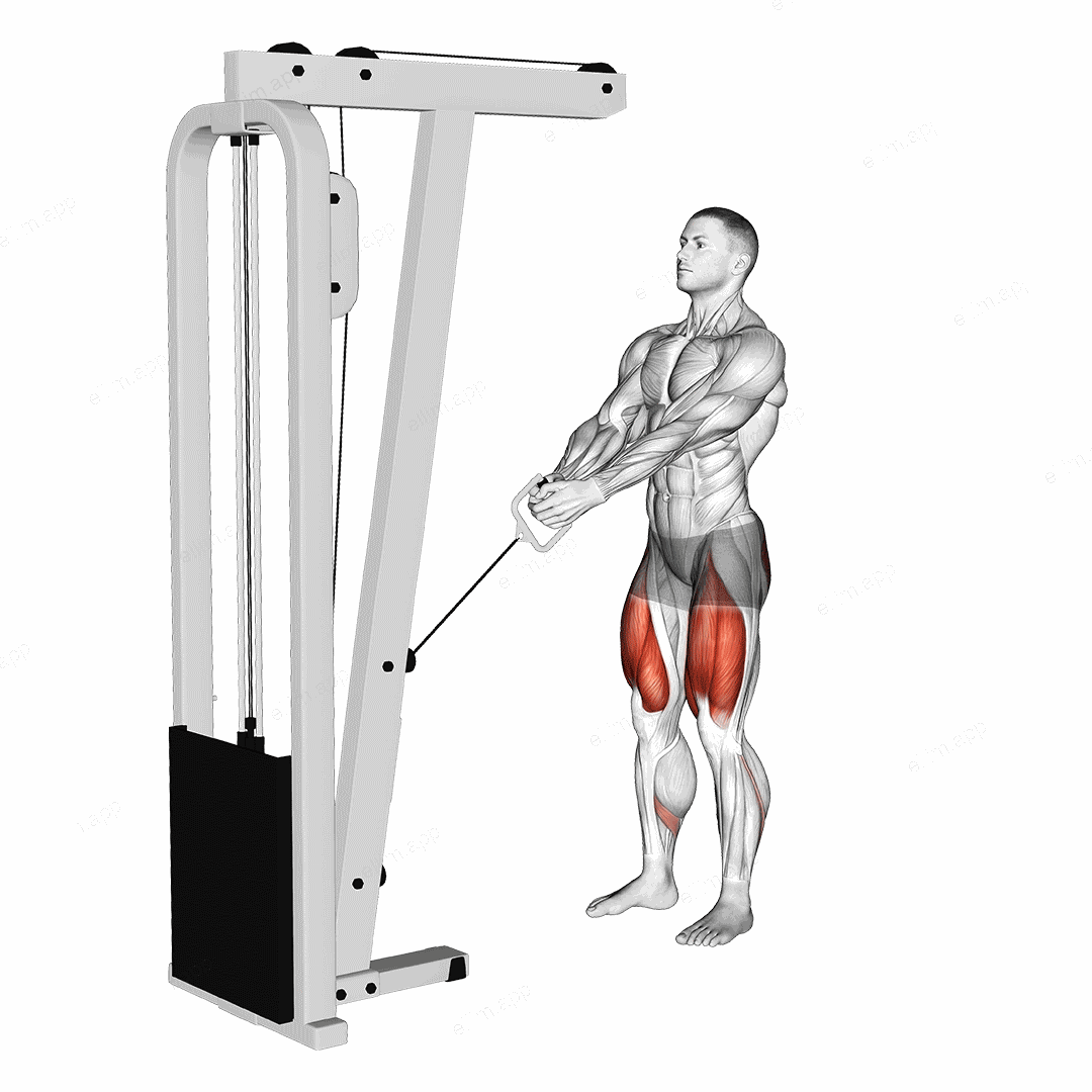 Cable Lunge exercise targeting Thighs and Gluteus Maximus