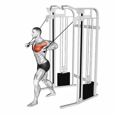 Cable Low Chest Press exercise targeting Chest