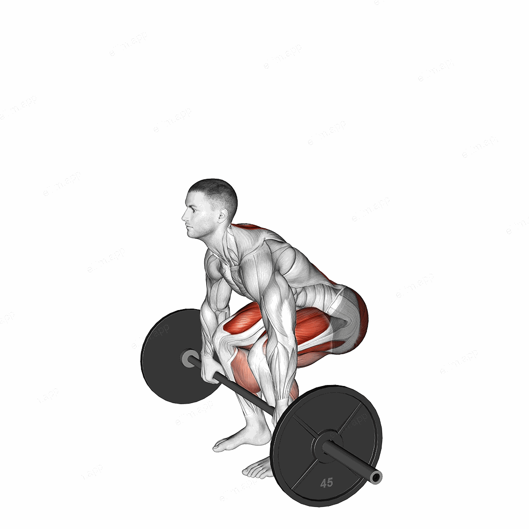 Barbell Pause Deadlift exercise targeting Hips