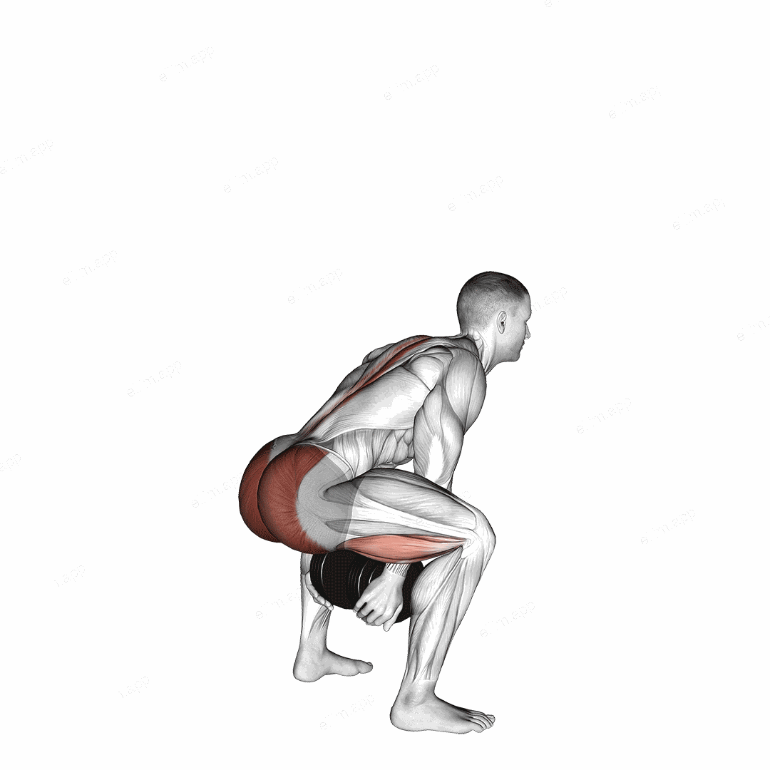 Dumbbell Sumo Pull Through exercise targeting Hips