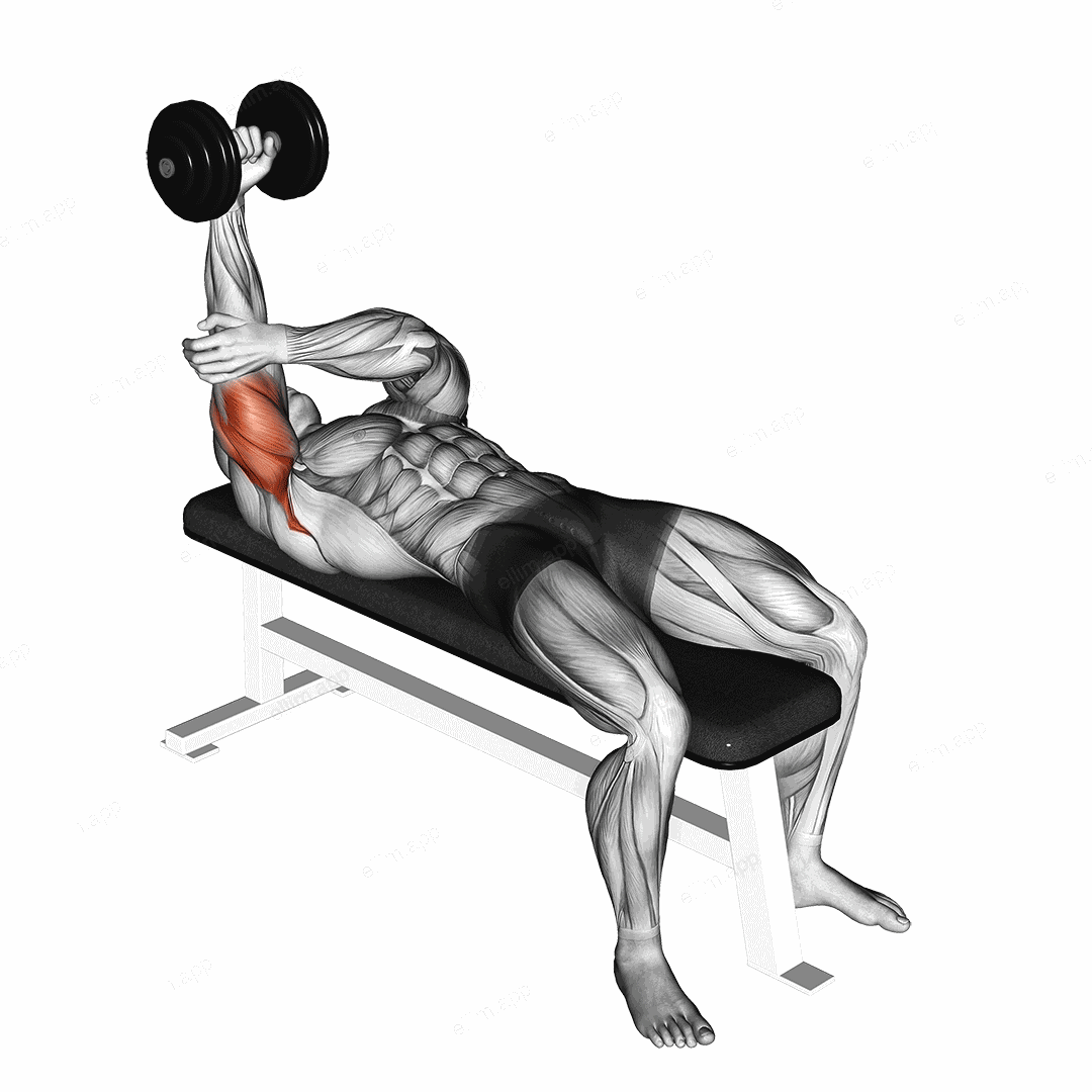 Dumbbell Lying One Arm Pronated Triceps Extension exercise targeting Upper Arms and Triceps Brachii