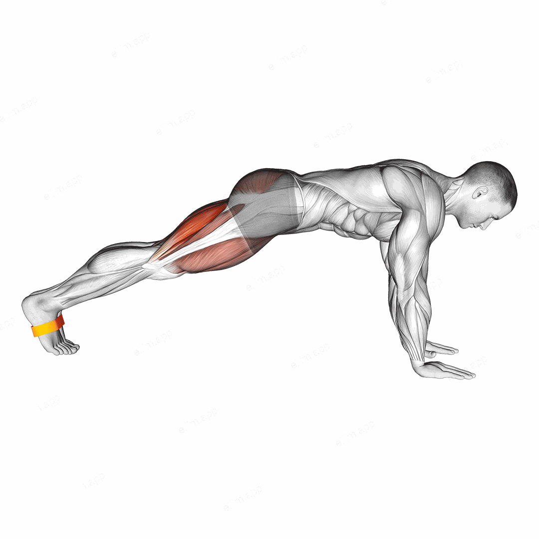Resistance Band Plank March exercise targeting Thighs and Hamstrings