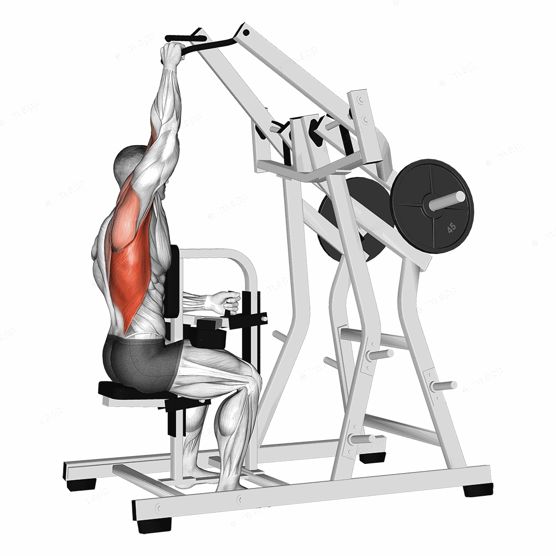 Lever One Arm Lateral Wide Pulldown (plate loaded) exercise targeting Back and Latissimus Dorsi