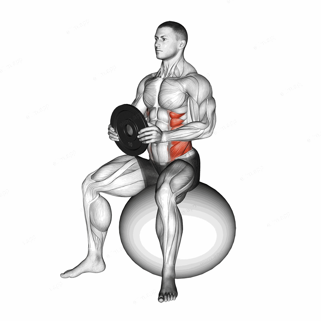 Weighted Seated Twist (on stability ball) exercise targeting Waist and Obliques