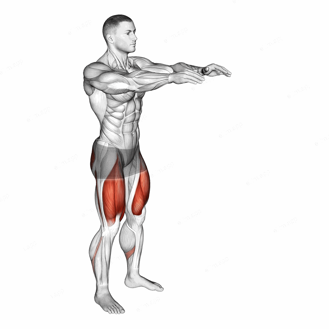 Bodyweight Pulse Squat exercise targeting Gluteus Maximus and Quadriceps