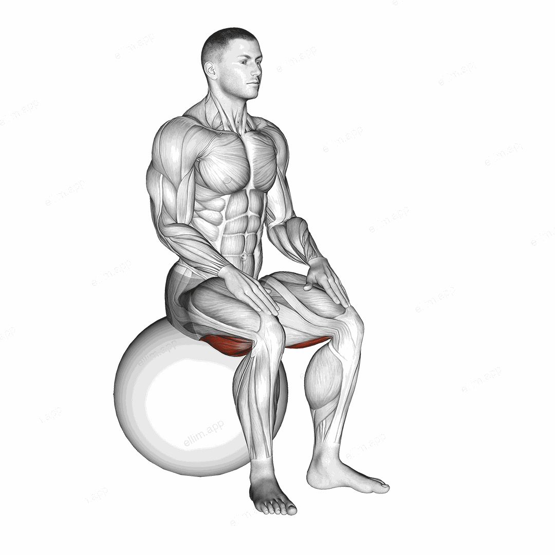 Exercise Ball Seated Hamstring Stretch exercise targeting Thighs