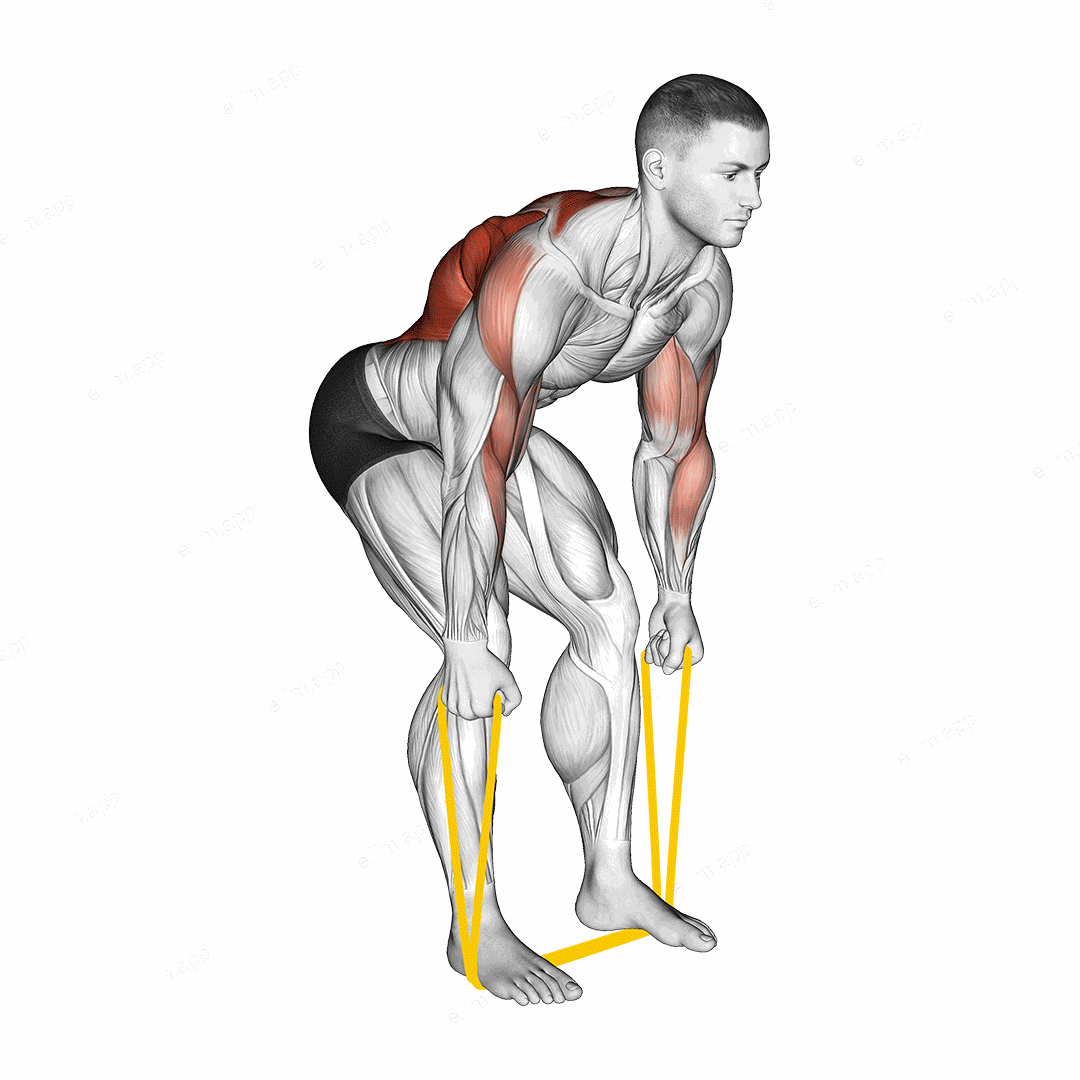 Resistance Band Bent Over Neutral Grip Row exercise targeting Back and Infraspinatus
