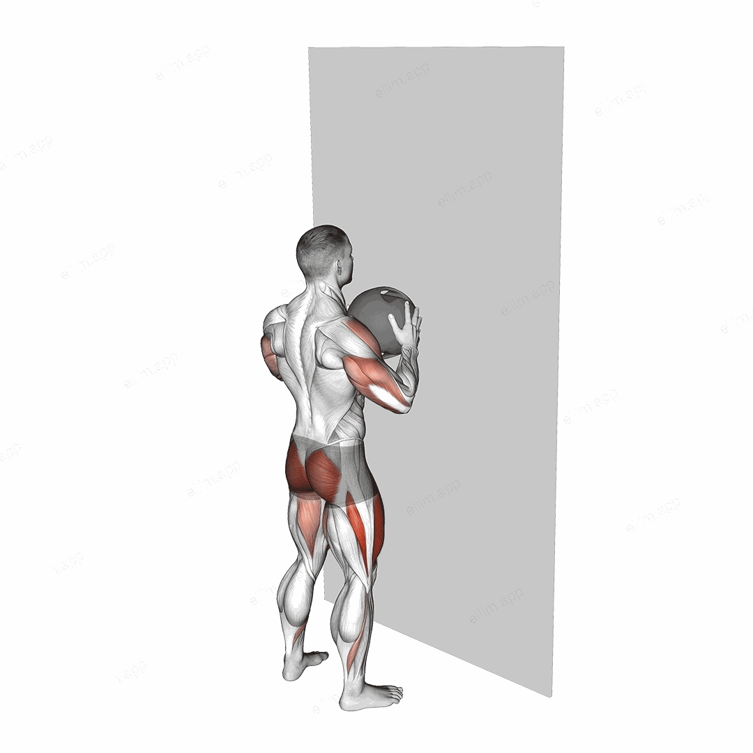 Medicine Ball Throw Squat with Wall exercise targeting Shoulders