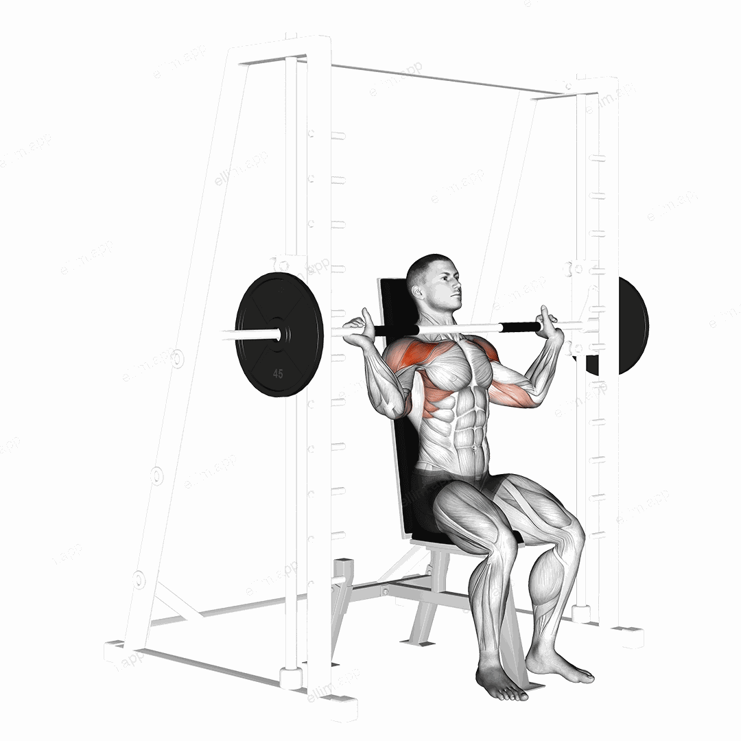 Smith Shoulder Press exercise targeting Shoulders and Deltoid Anterior