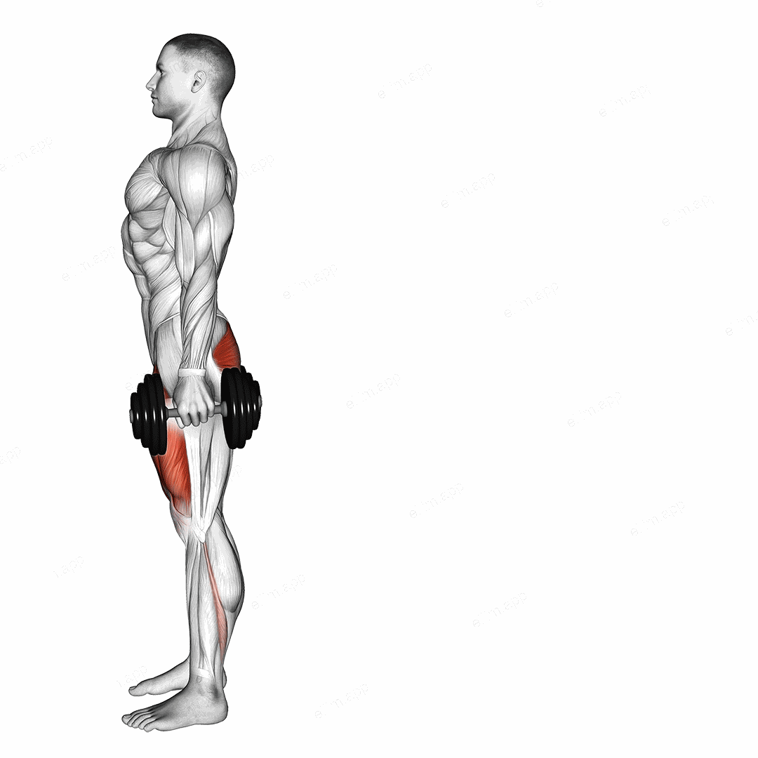 Dumbbell Rear Lunge exercise targeting Thighs and Gluteus Maximus
