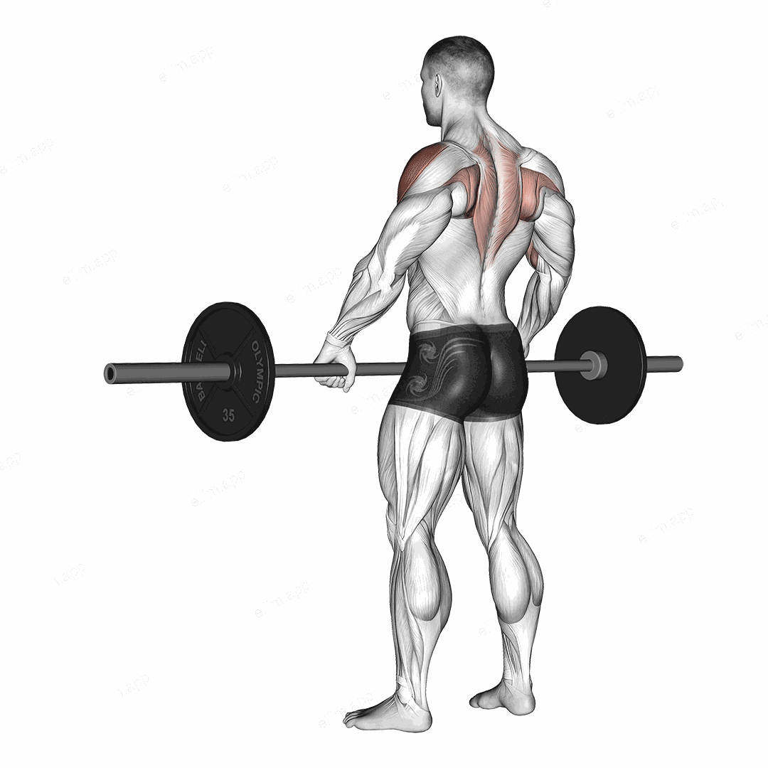 Barbell Wide Grip Upright Row exercise targeting Shoulders
