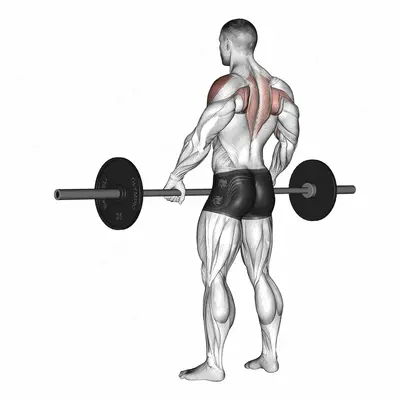 Barbell Wide Grip Upright Row exercise targeting Shoulders
