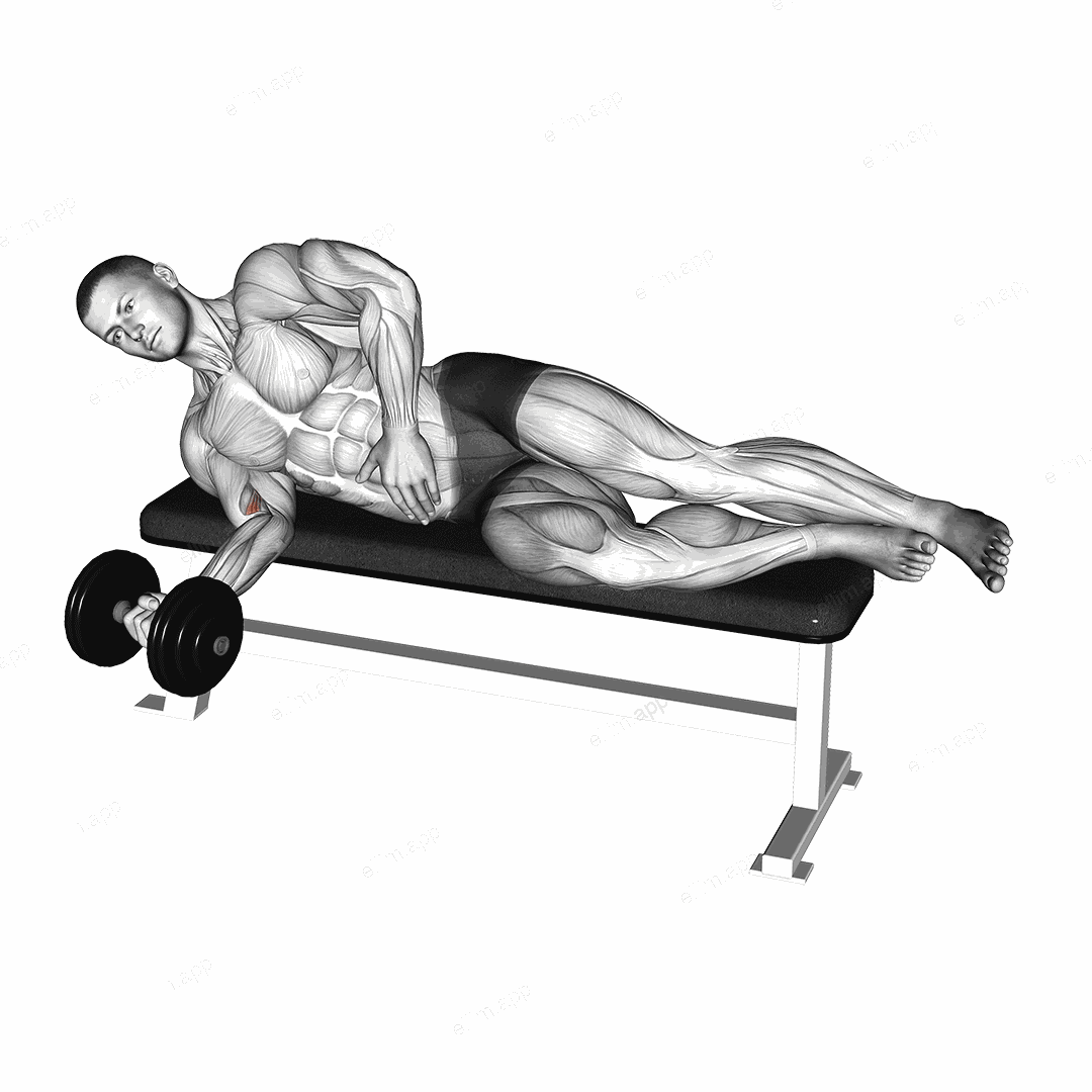 Dumbbell Lying Pronation exercise targeting Forearms and Wrist Flexors