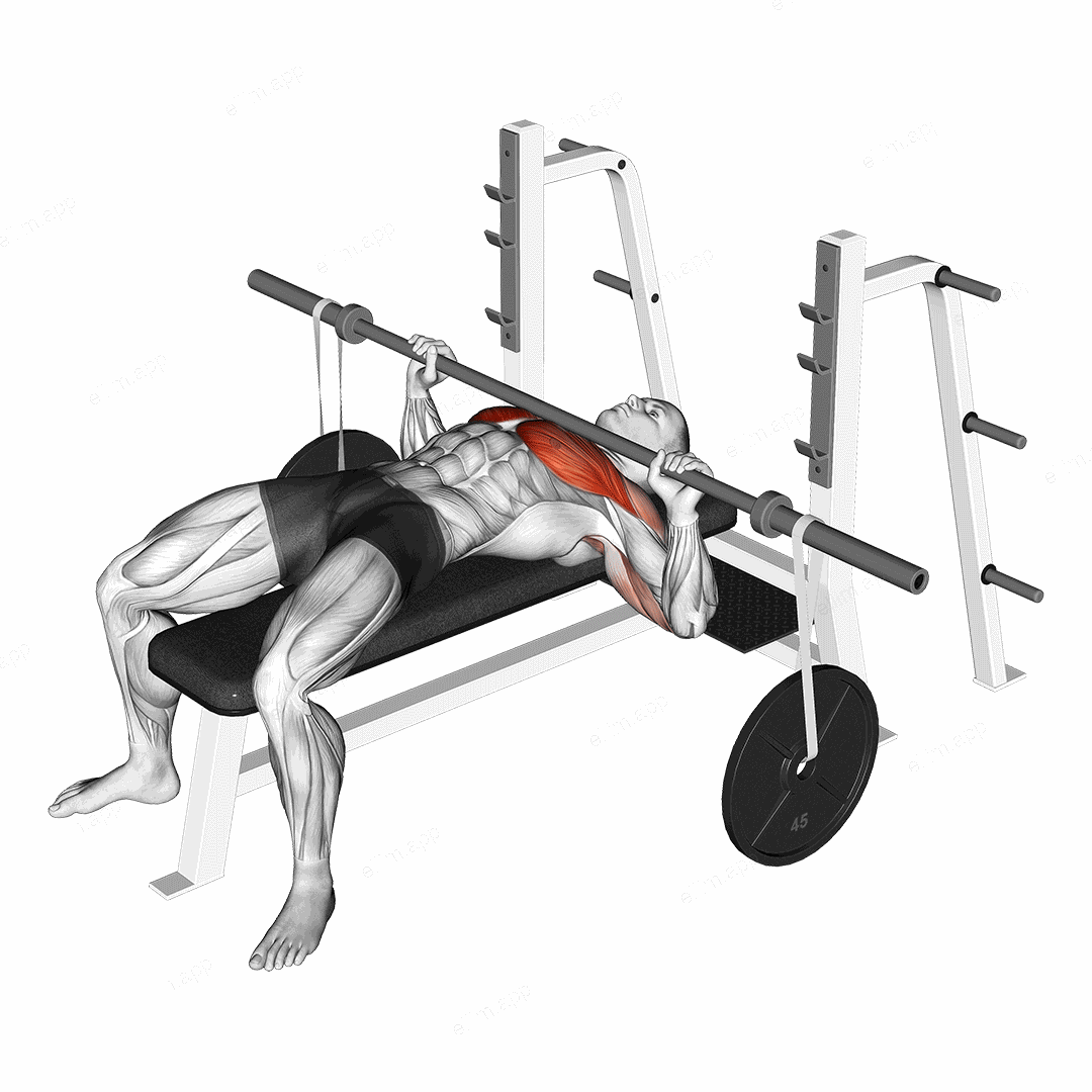 Barbell Bench Press (with hanging band technique) exercise targeting Chest and Pectoralis Major Clavicular Head
