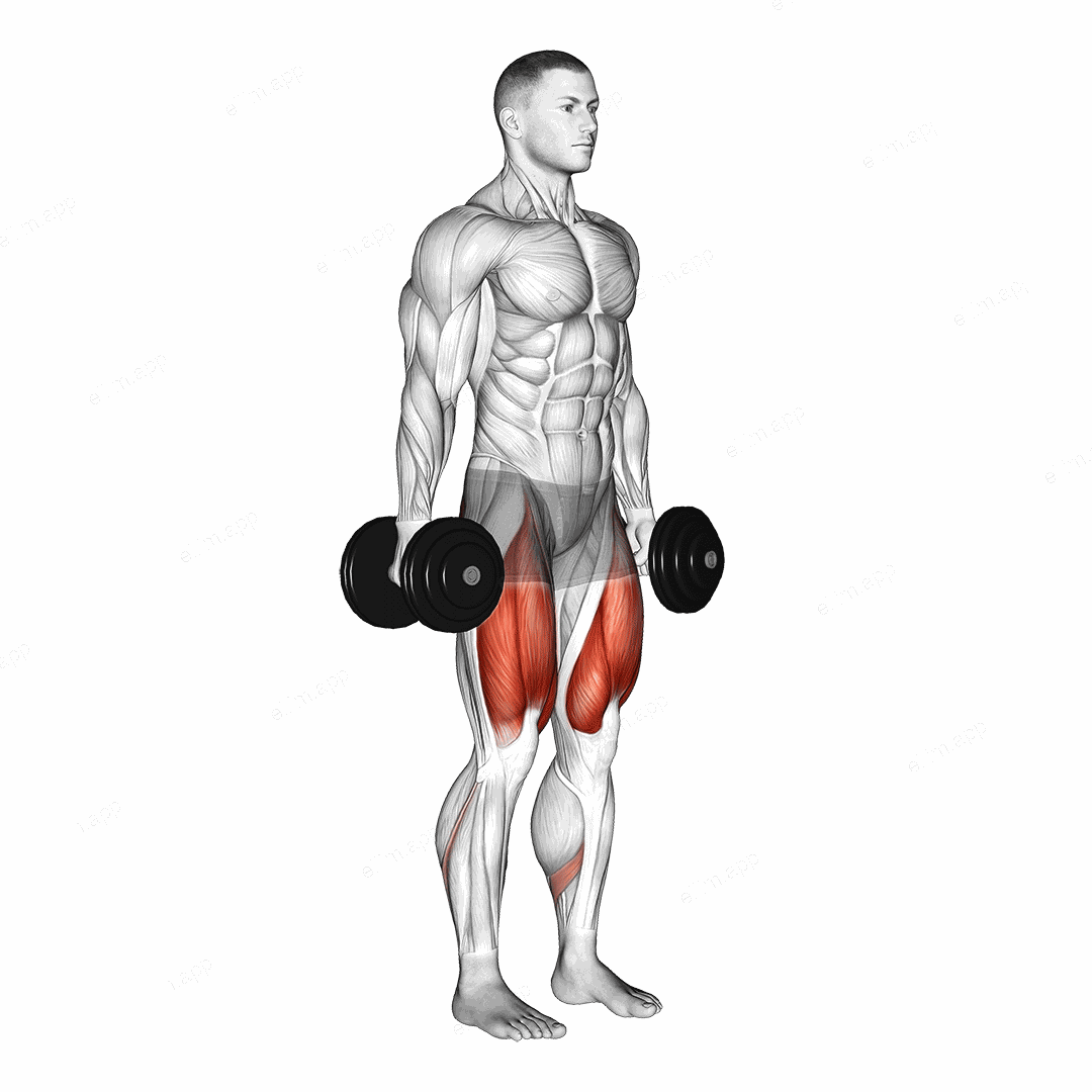 Dumbbell Squat exercise targeting Thighs and Gluteus Maximus
