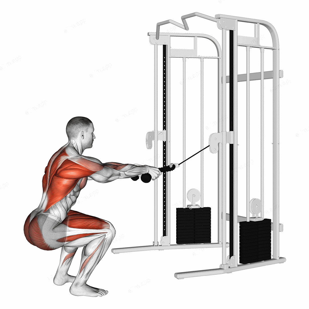 Cable Squat Row (with rope attachment) exercise targeting Back and Gluteus Maximus