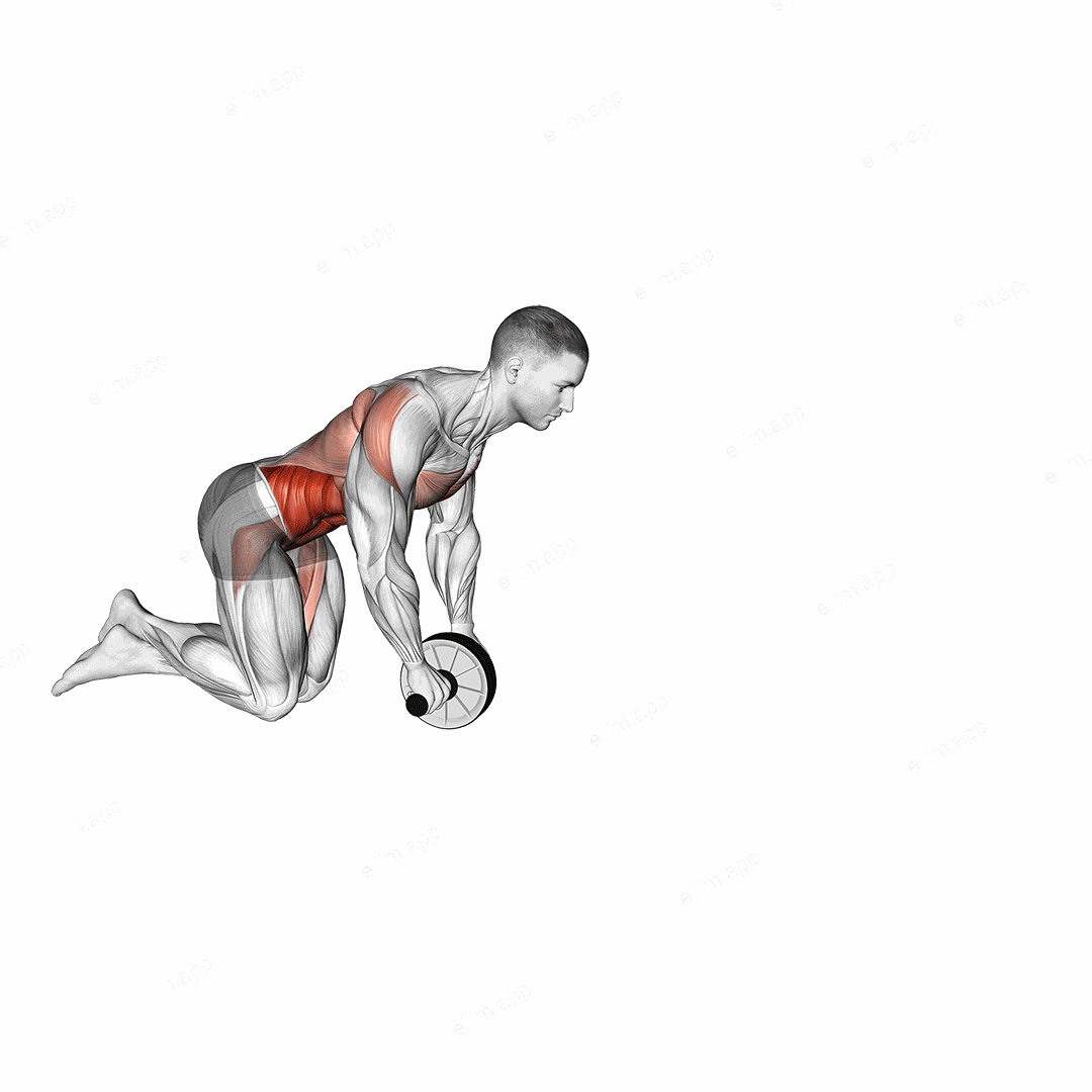 Wheel Rollout exercise targeting Back and Iliopsoas