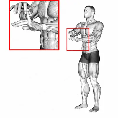 Finger Extension Stretch exercise targeting Forearms