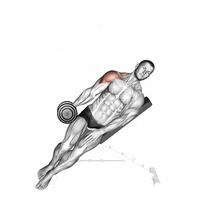 Dumbbell Incline One Arm Lateral Raise exercise targeting Shoulders and Deltoid Lateral