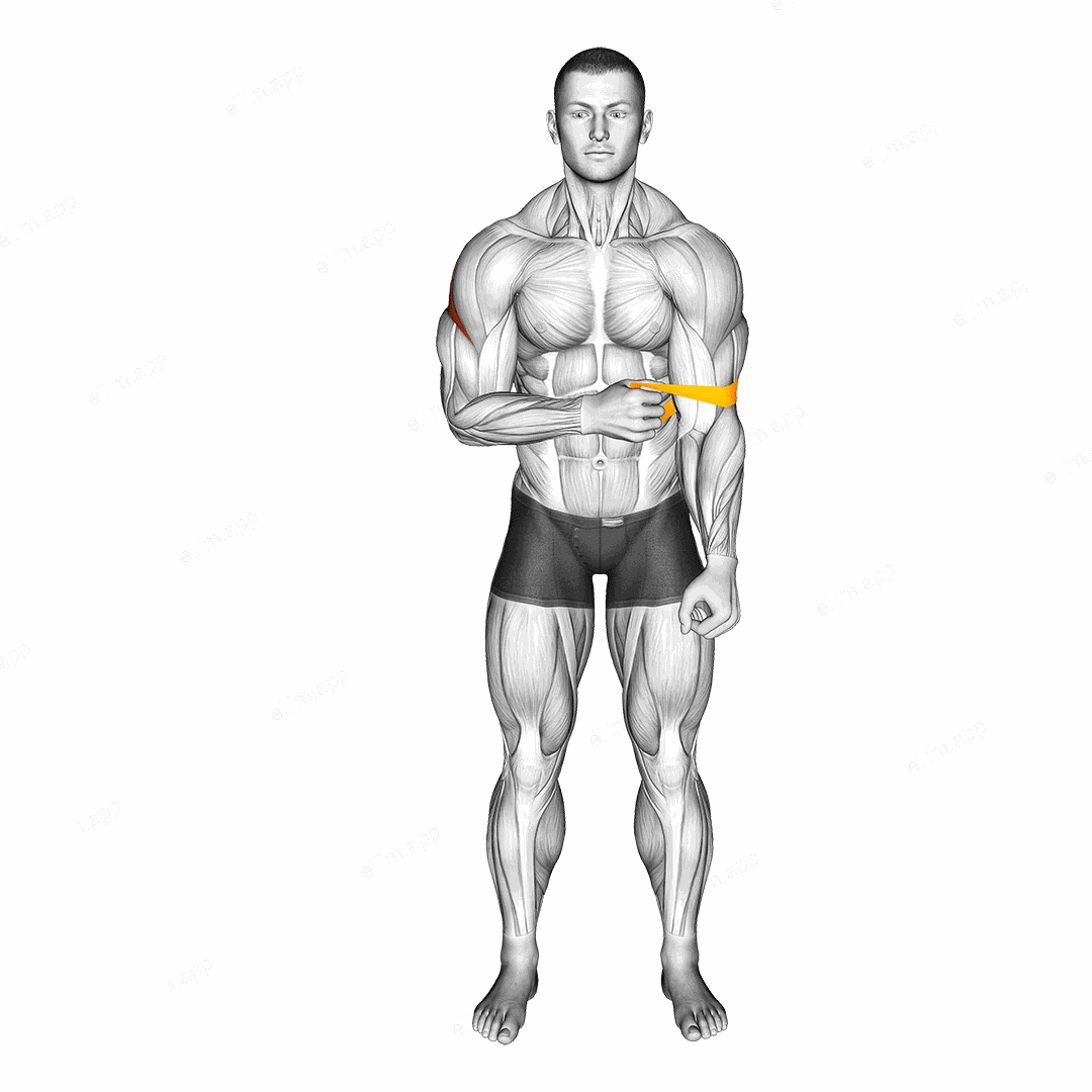 Resistance Band External Rotation exercise targeting Back and Teres Minor