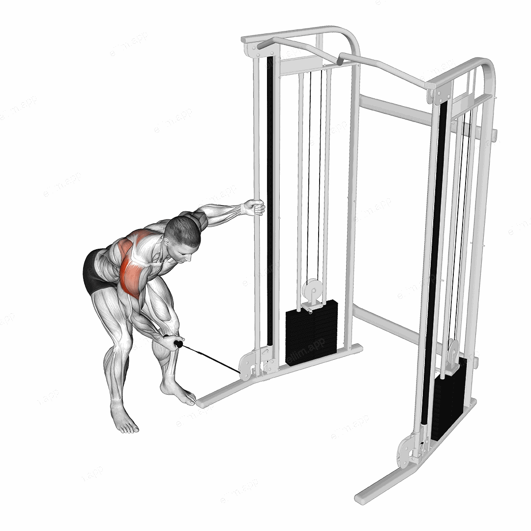 Cable One Arm Reverse Fly exercise targeting Shoulders