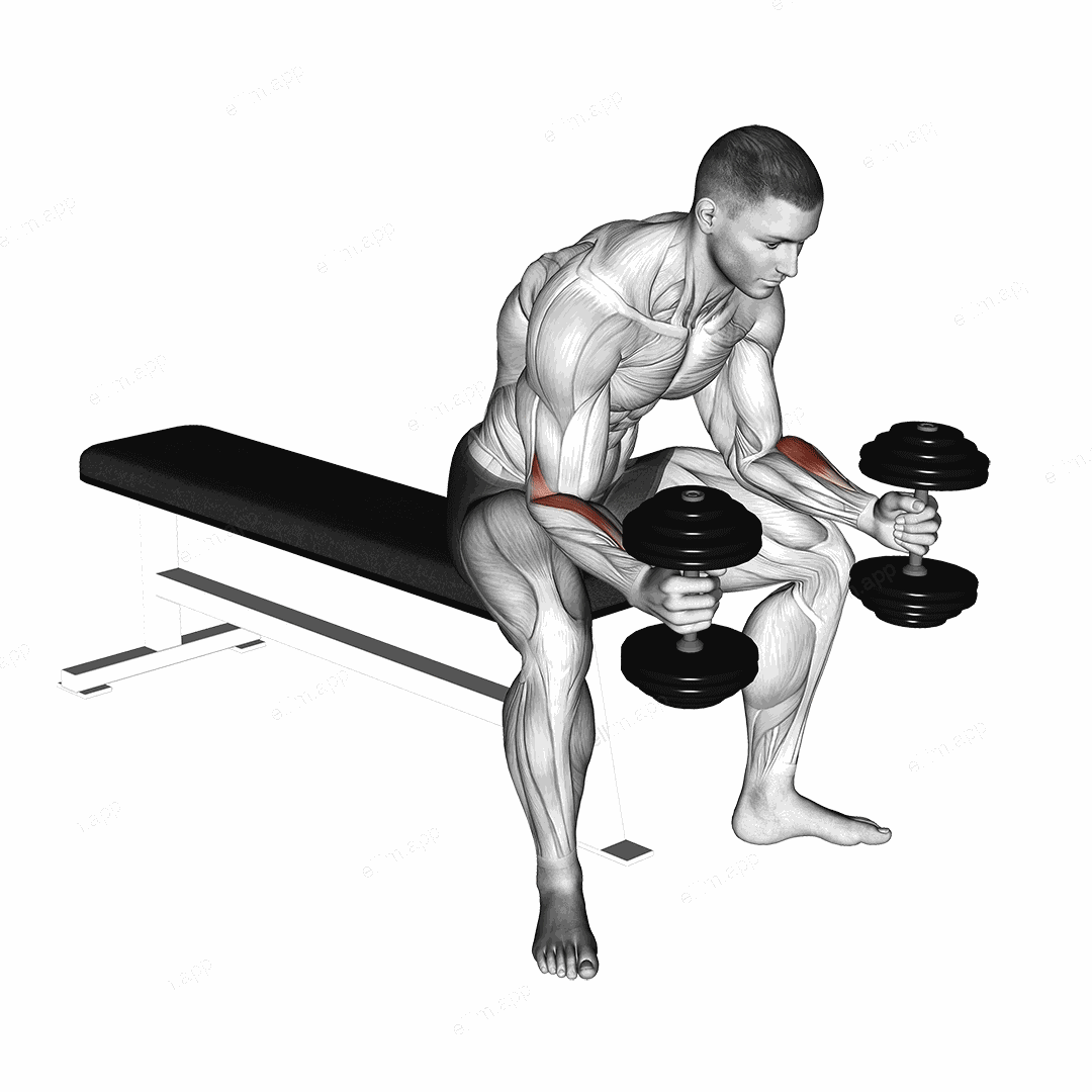 Dumbbell Seated Neutral Wrist Curl exercise targeting Forearms and Brachioradialis