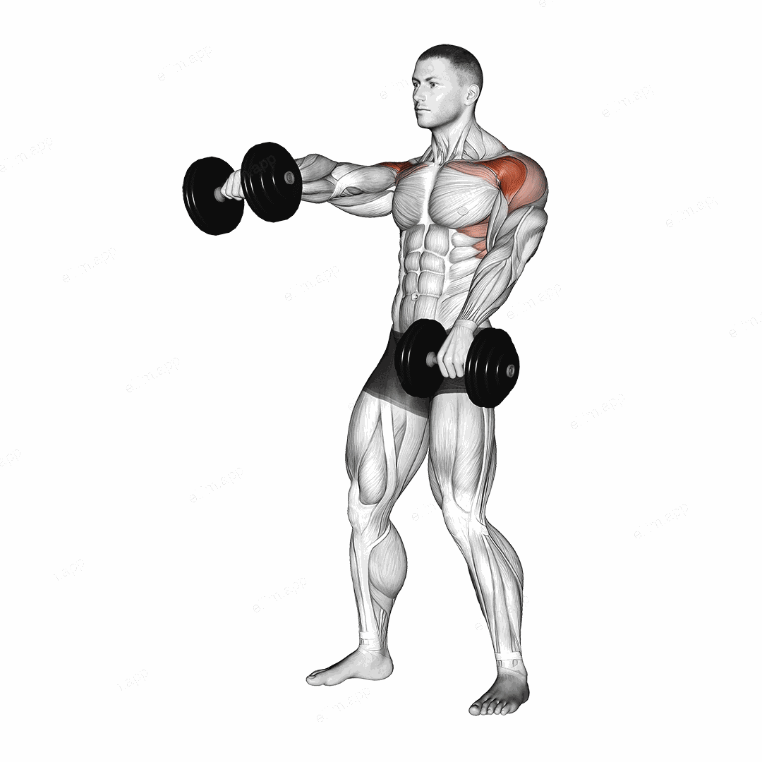 Dumbbell Standing Alternate Raise exercise targeting Shoulders and Deltoid Anterior