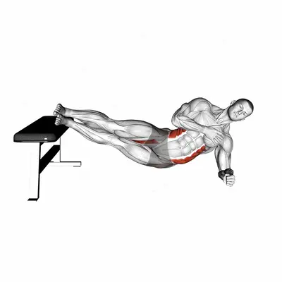 Side Plank Oblique Crunch exercise targeting Waist and Adductor Brevis