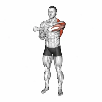 Across Chest Shoulder Stretch exercise targeting Shoulders and Deltoid Posterior