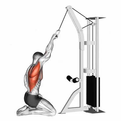 Cable One Arm Straight Back High Row (kneeling) exercise targeting Back and Infraspinatus