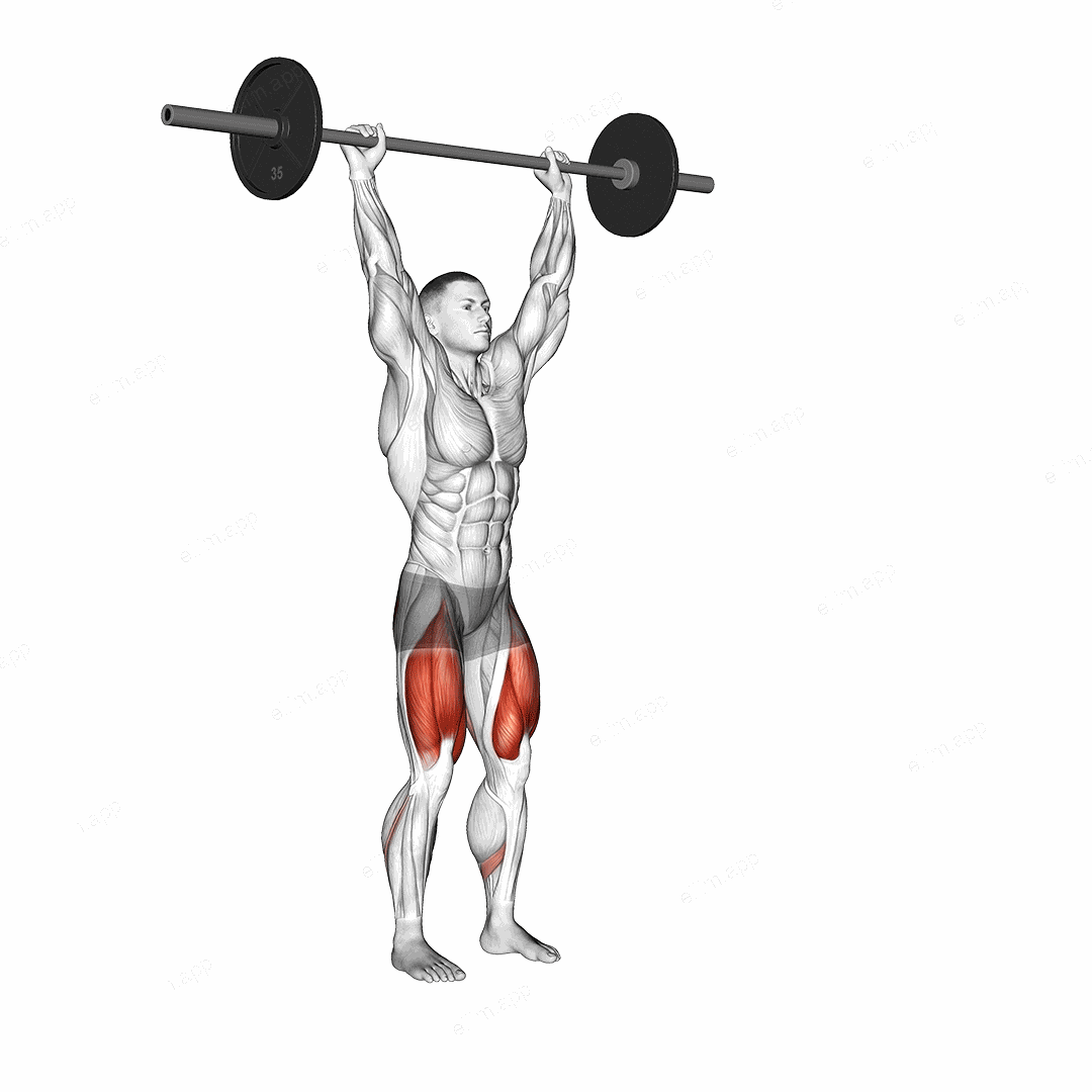 Barbell Overhead Lunge exercise targeting Thighs and Gluteus Maximus