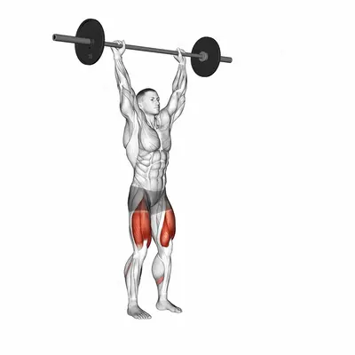 Barbell Overhead Lunge exercise targeting Thighs and Gluteus Maximus