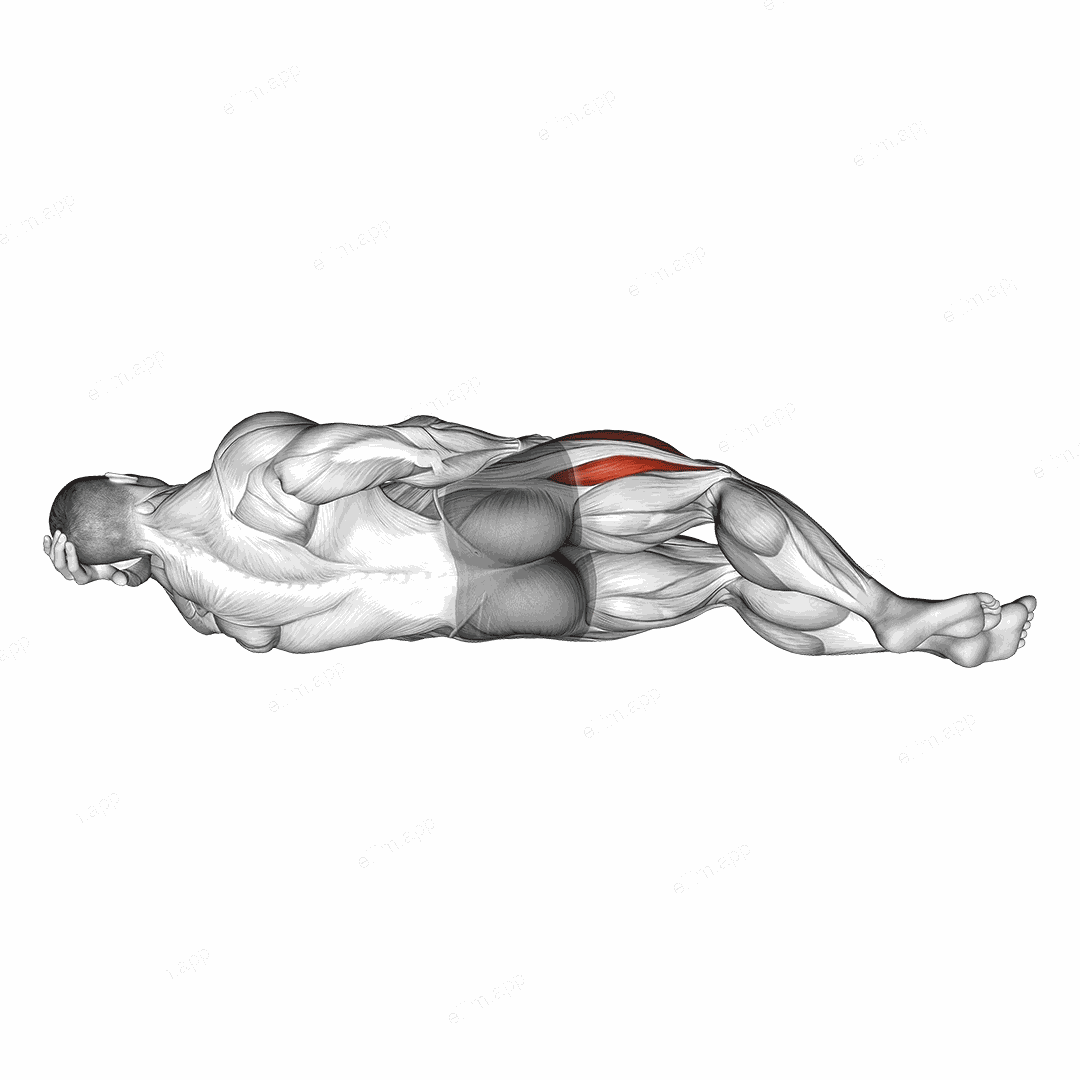 Lying Hip Flexor exercise targeting Thighs